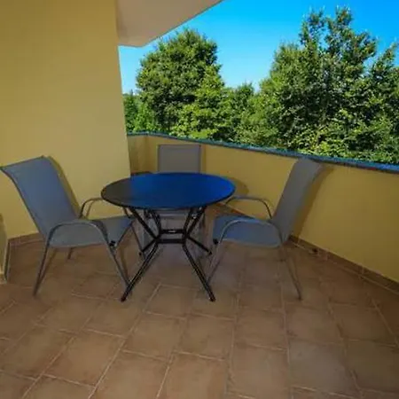 Bellator Guest house *