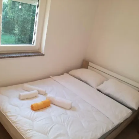 Bellator Guest house