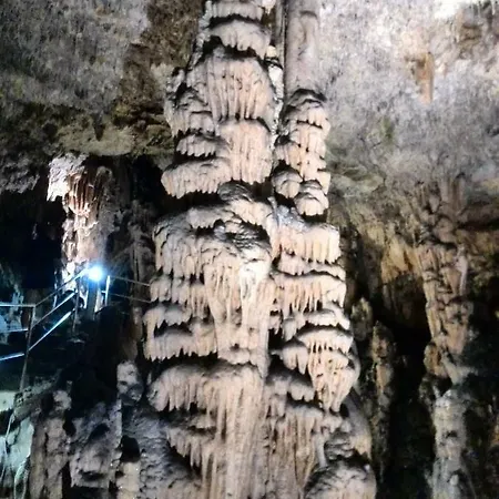 招待所 贝尔拉特尔别墅旅馆 *